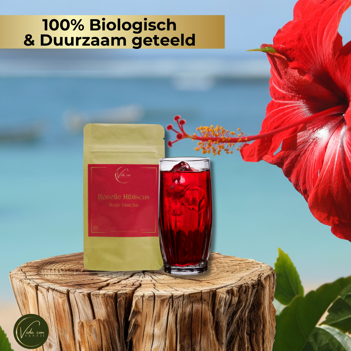 Roze Matcha