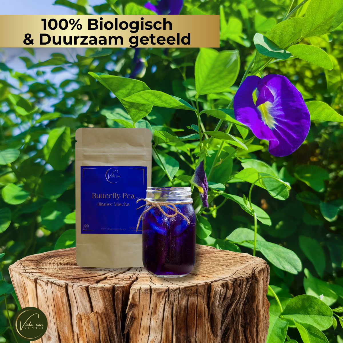 Blauwe Matcha