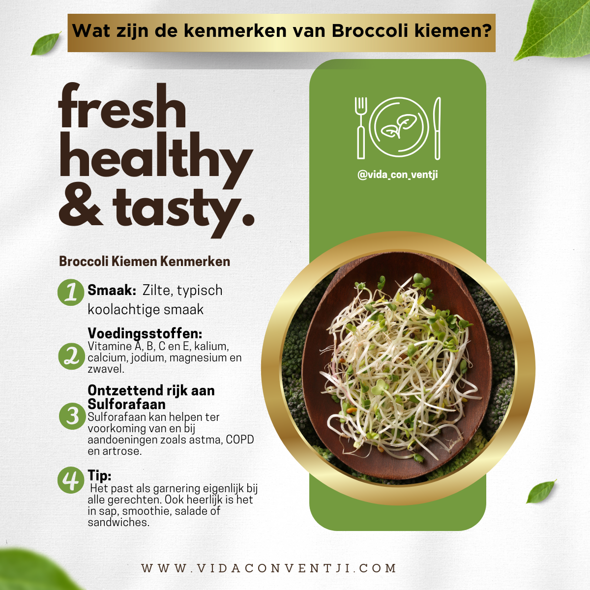Broccolizaad