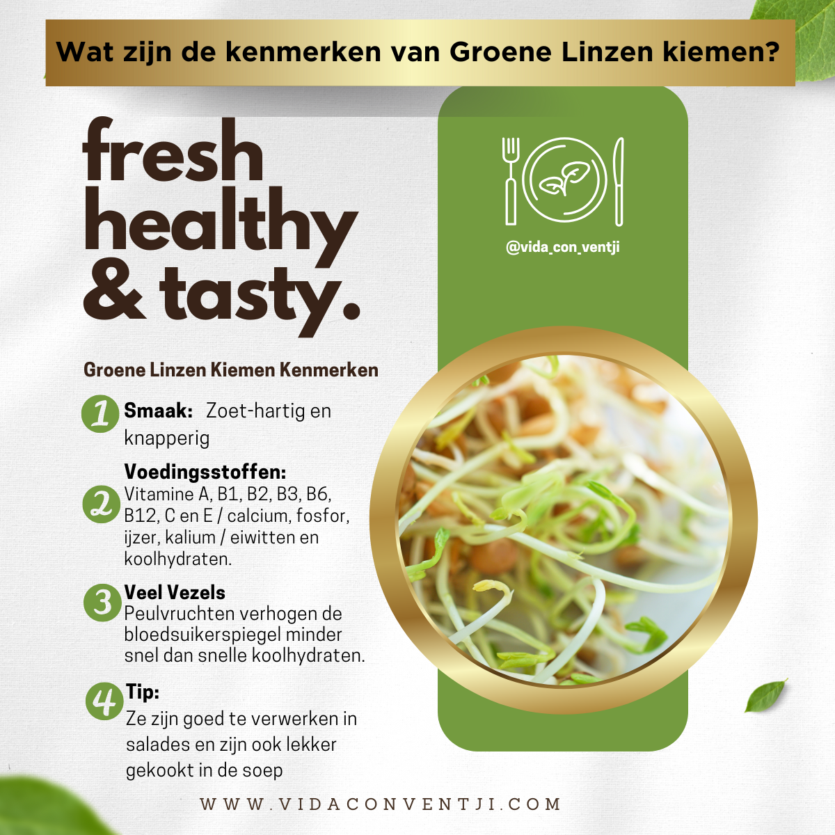 Groene linzen