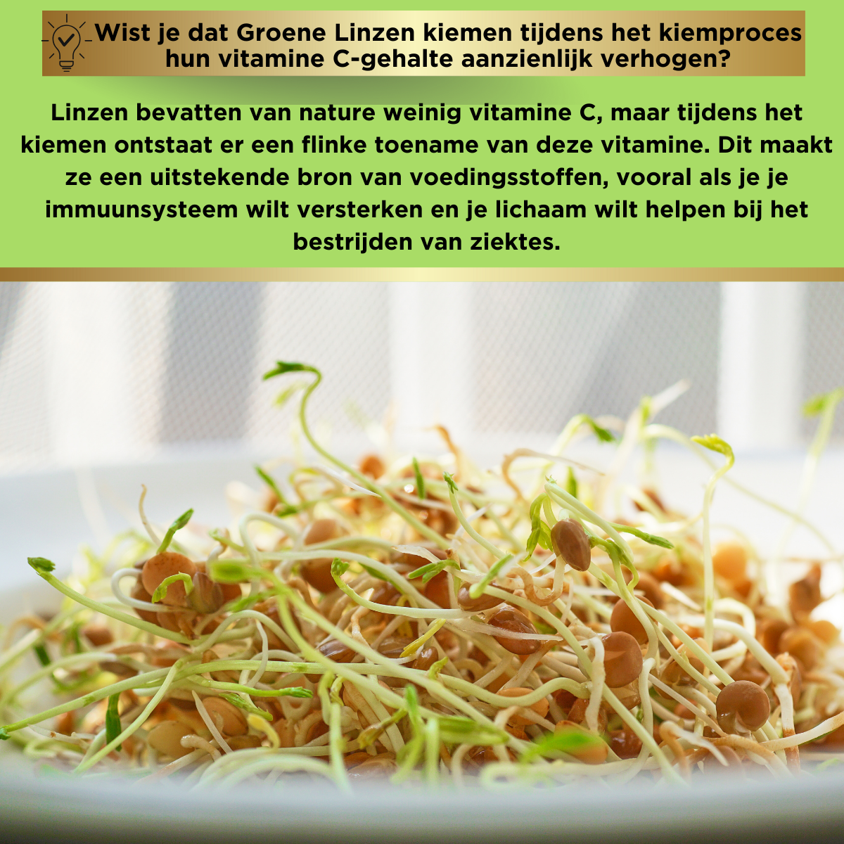 Groene linzen