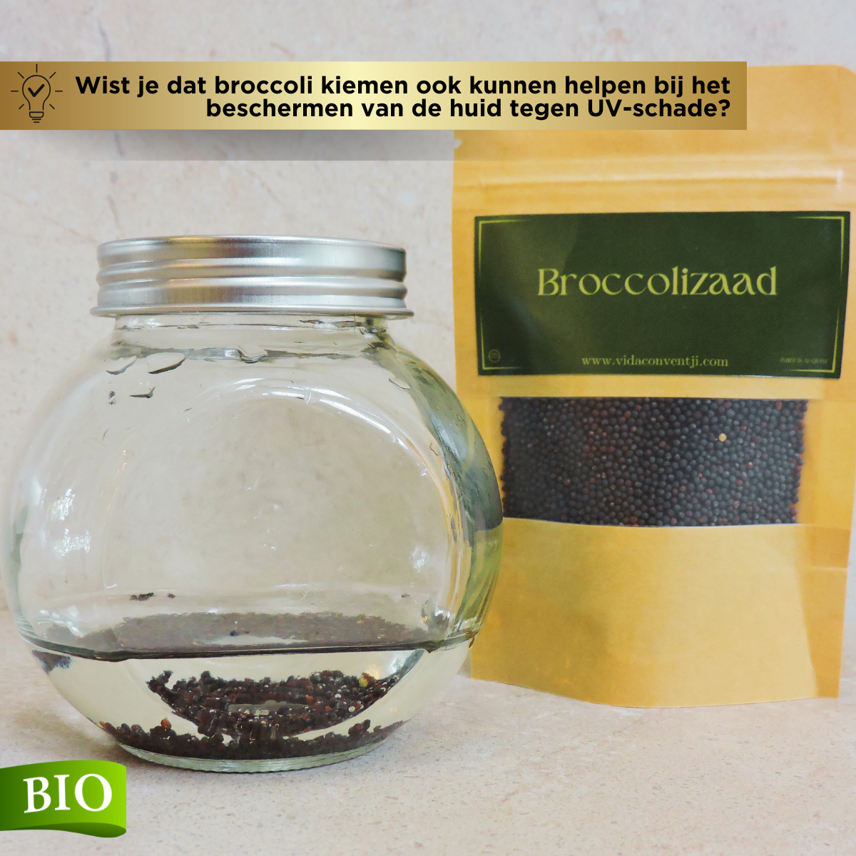 Broccolizaad