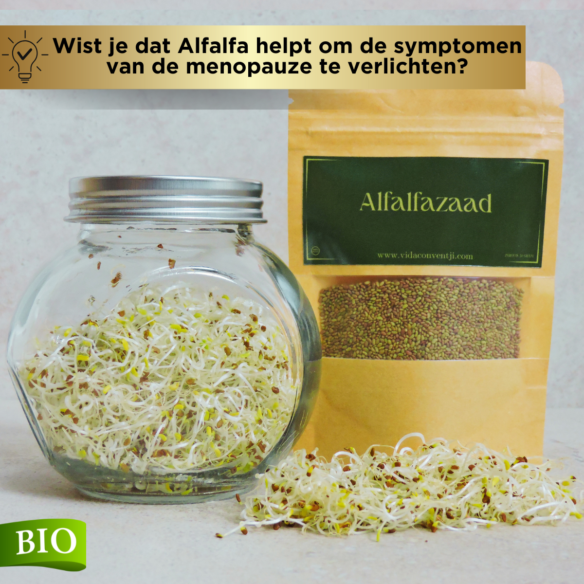Alfalfazaad