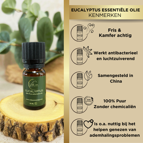 Eucalyptus Etherische olie