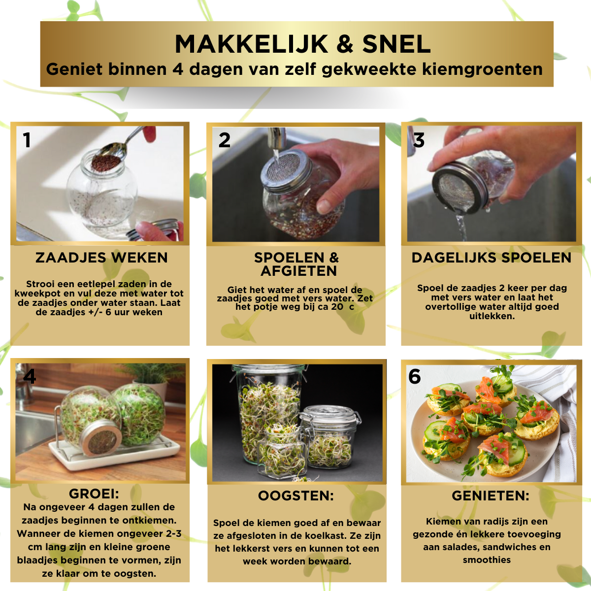 Kiemzaden kweekset